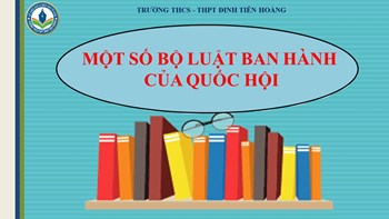 Một số bộ luật ban hành của Quốc Hội