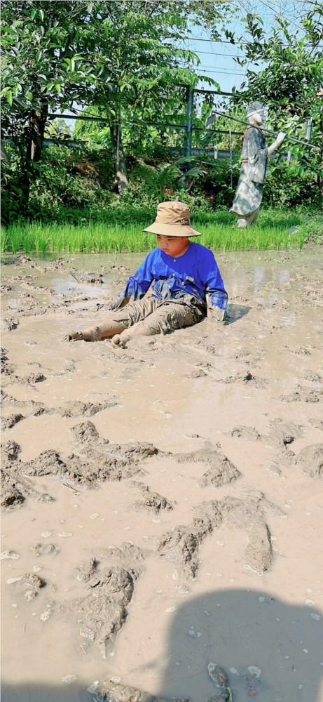 Hoạt động trải nghiệm ngoại khóa tại Sunshine Farm