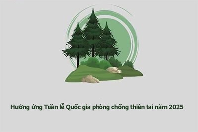 Hưởng ứng Tuần lễ Quốc gia phòng chống thiên tai năm 2025 tại các cơ sở giáo dục trên địa bàn Thành phố