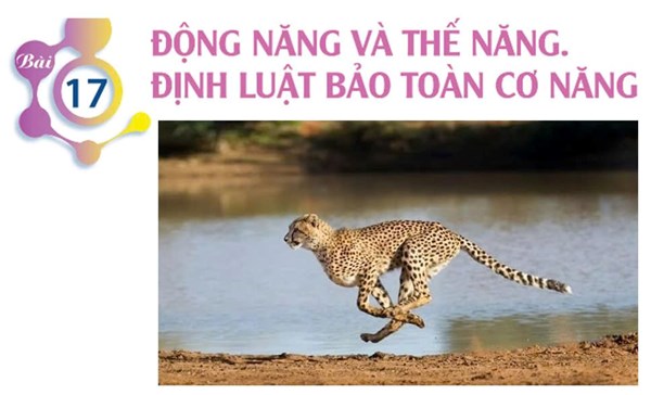 Động năng