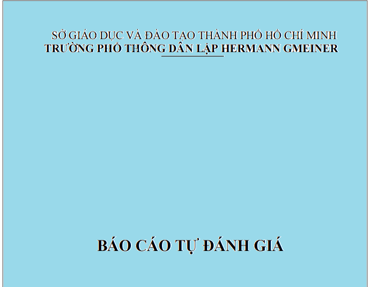 Báo cáo đoàn đánh giá ngoài