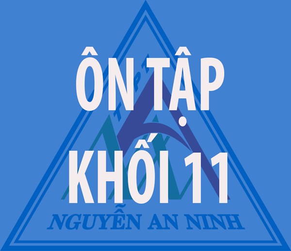 Đề Cương Ôn Thi Lại Các Môn KHỐI 11