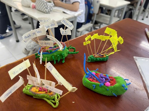 Khám phá tiết học Sinh học 10