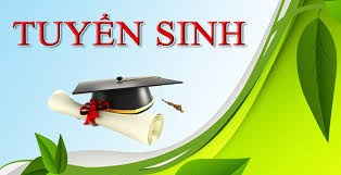 Tuyển sinh năm học 2024 - 2025