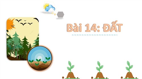 Bài 14: Đất