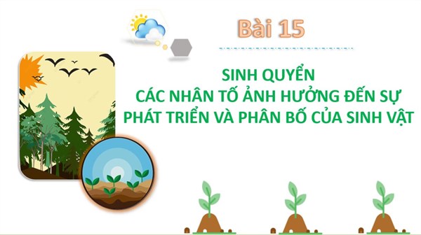 Bài 15: Sinh quyển, các nhân tố ảnh hưởng đến sự phát triển và phân bố của sinh vật