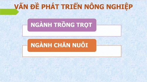 Bài 22. VẤN ĐỀ PHÁT TRIỂN NÔNG NGHIỆP