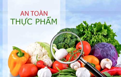 Chuỗi an toàn thực phẩm năm học 2024-2025