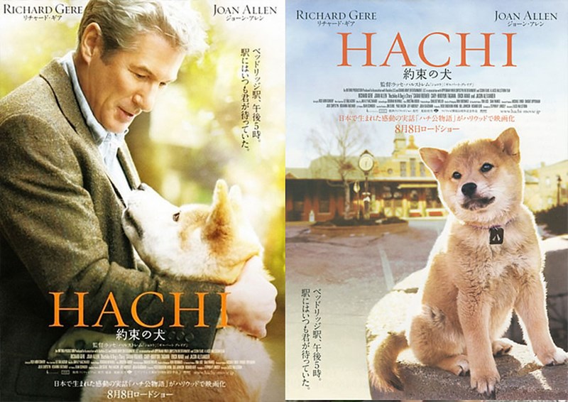 Cảm nhận về tác phẩm điện ảnh  Chú chó chờ đợi 