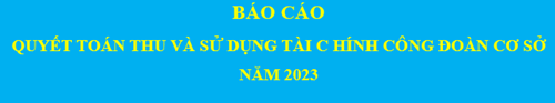Báo cáo quyết toán thu và sử dụng tài chính Công đoàn cơ sở năm 2023
