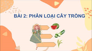 Phân loại cây trồng
