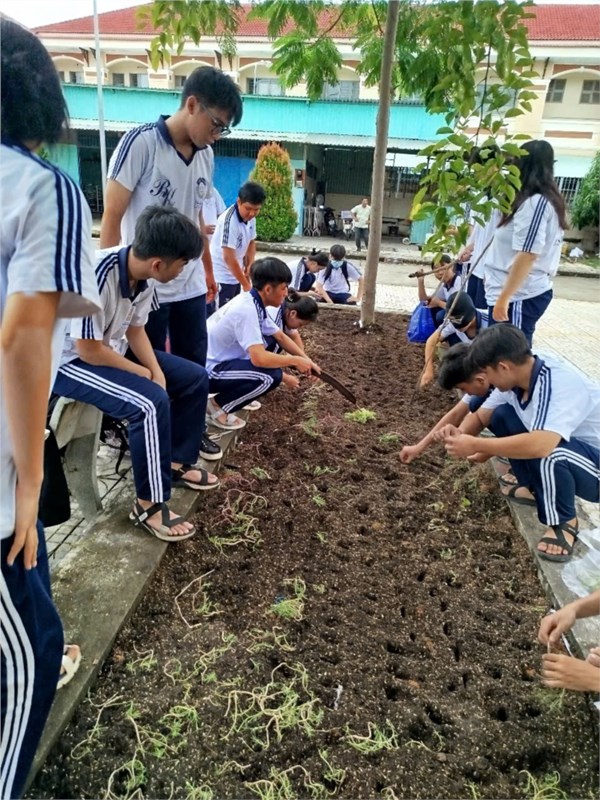 Hoạt động chuyên môn tổ Vật lý tháng 12/2024