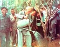 NH2023-2024: Chào mừng kỷ niệm 134 năm Ngày sinh Chủ tịch Hồ Chí Minh (19/5/1890 - 19/5/2024) - Học sinh THPT Dương Văn Dương tích cực hưởng ứng phong trào  Tết trồng cây đời đời nhớ ơn Bác Hồ .