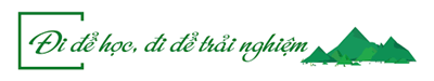 NH24-25: Tổ chức hoạt động học tập trải nghiệm ngoại khóa ngoài nhà trường - Chủ đề  Thành phố Hồ Chí Minh, Thành phố tôi yêu  - Liên tổ Xã Hội (Lịch Sử - Địa Lý - GD Kinh tế, Pháp luật - Ngữ Văn) phối hợp tổ chức tại Dinh Độc Lập và Bảo tàng Mỹ thuật Thành phố Hồ Chí Minh.
