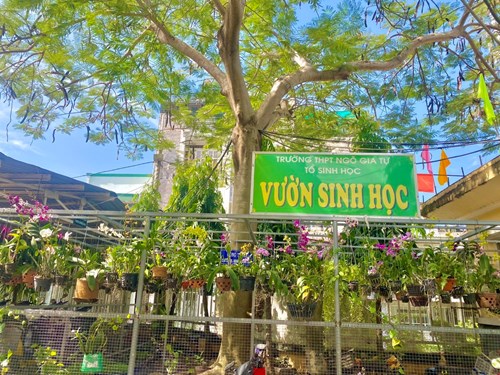 Hoạt động clb sinh học 2023-2024