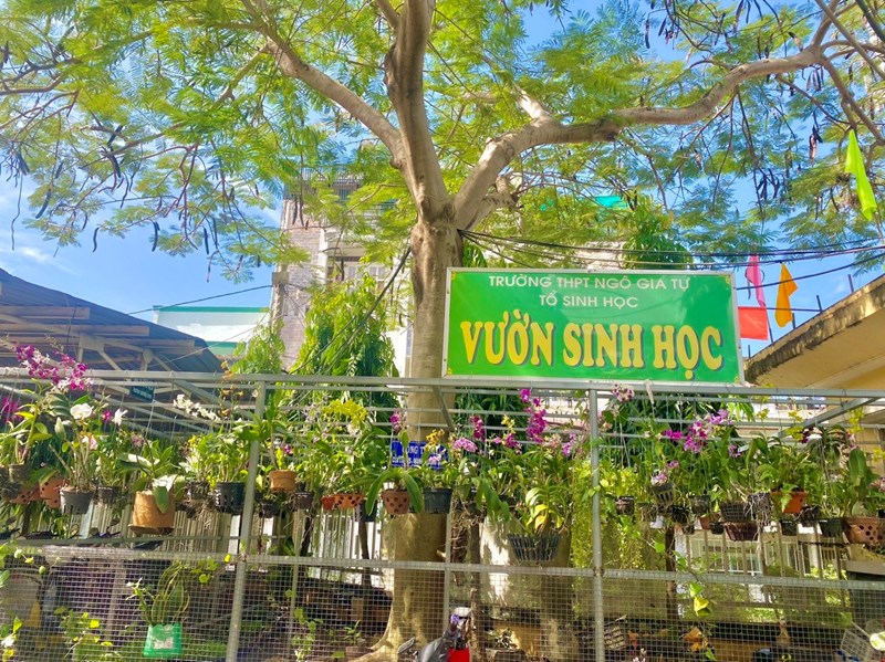 Hoạt động clb sinh học 2023-2024