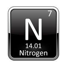Từ chất khí vô danh cho tới nitrogen