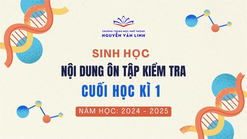 Sinh học: Nội dung ôn tập kiểm tra học kì 1 - Năm học: 2024 - 2025