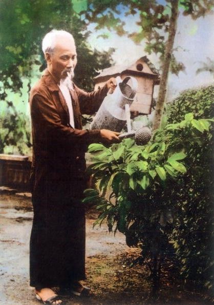 Ảnh đại diện