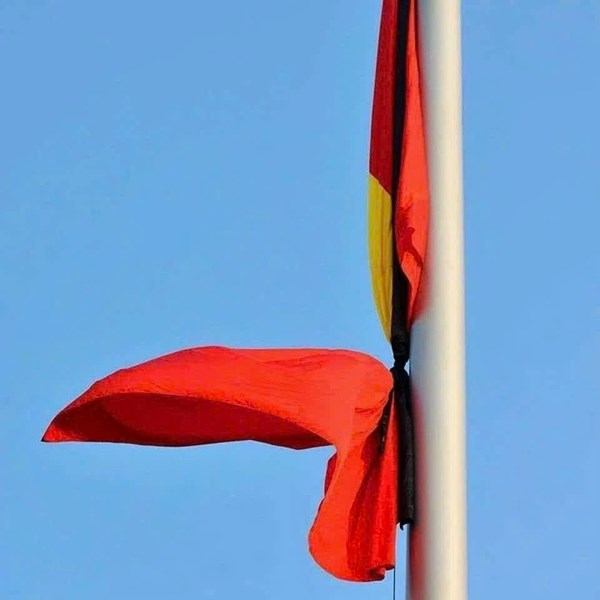 Ảnh đại diện