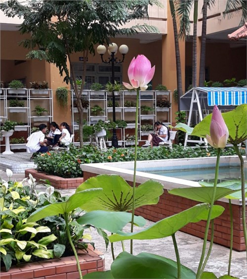 Chúc mừng thành tích đội tuyển học sinh trường Tây Thạnh!