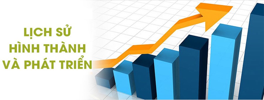 Lịch sử hình thành và phát triển của trường THPT Trần Hưng Đạo