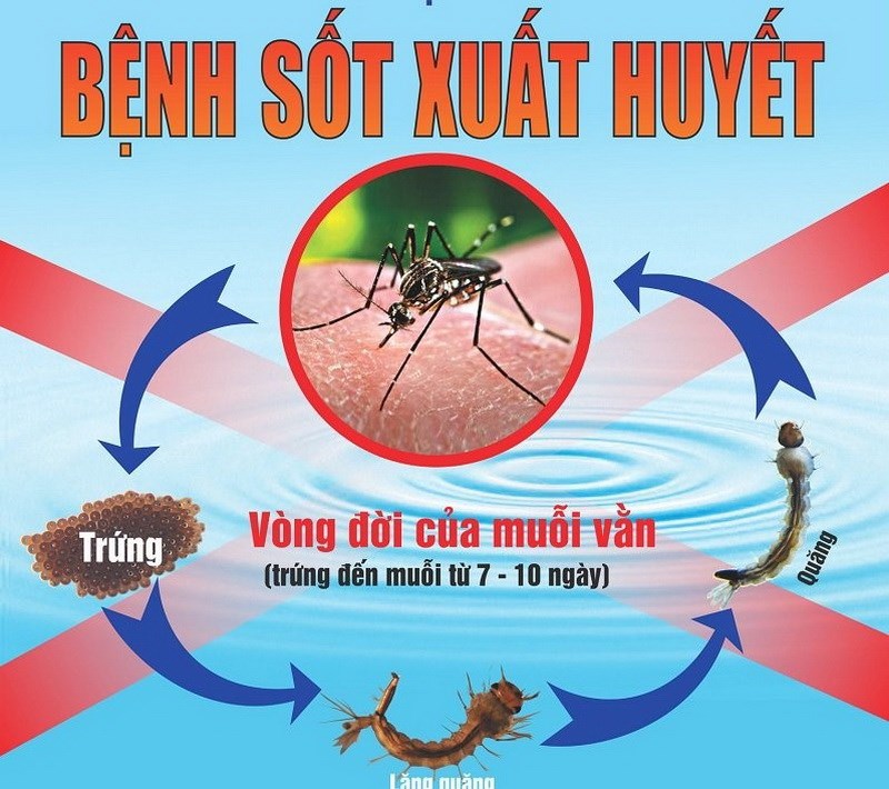Truyền thông giáo dục sức khỏe phòng chống sốt xuất huyết