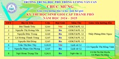 Kết quả kỳ thi học sinh giỏi cấp thành phố năm học 2024 - 2025