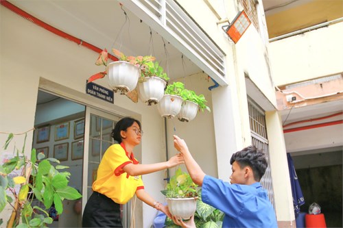 [Chiến Dịch  Xuân Tình Nguyện  Lần Thứ 17 Năm 2025 - Hoạt Động  Tết Văn Minh  - Trồng Cây]