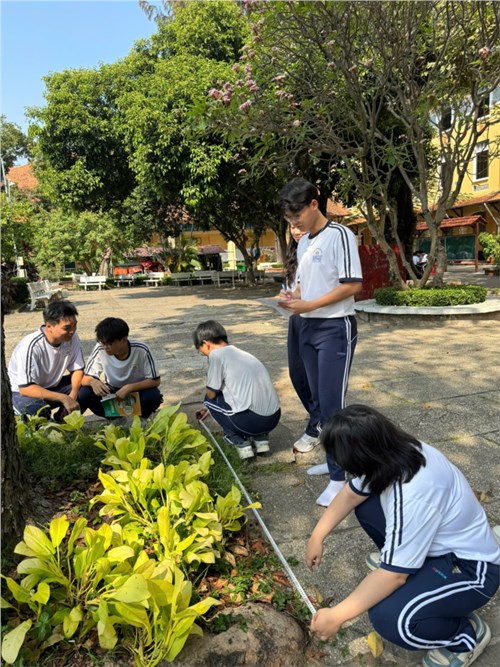 Hoạt động thực hành môn Sinh học - khối 12.