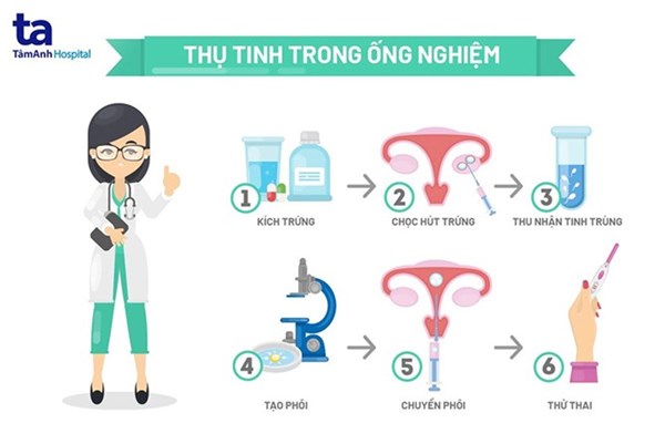 Tìm hiểu về thụ tinh ống nghiệm ivf