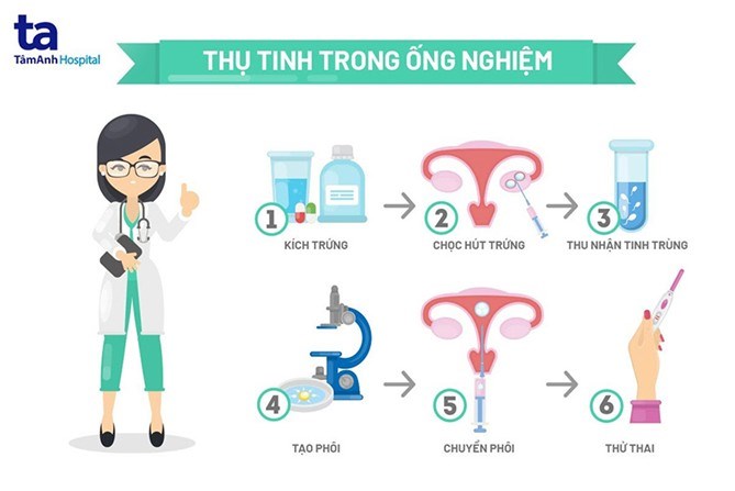 Tìm hiểu về thụ tinh ống nghiệm ivf