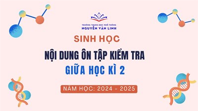 Sinh học: Nội dung ôn tập và kiểm tra Giữa học kì 2 - Năm học 2024 - 2025