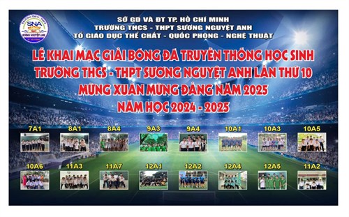 Giải bóng đá truyền thống học sinh sương nguyệt anh năm 2025