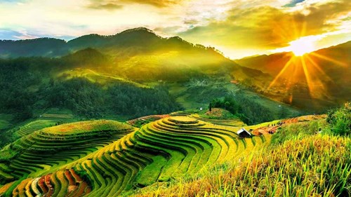 Chủ đề 9: Bảo vệ cảnh quan thiên nhiên, thế giới thực vật và động vật
