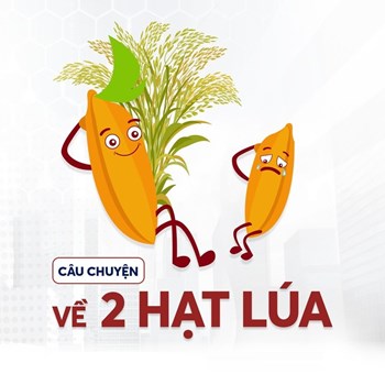 Câu chuyện về hai hạt lúa