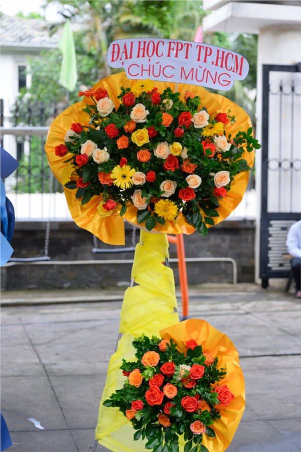 41_6920248.jpg