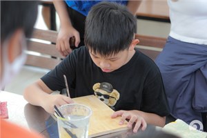 b87h6866-1_113202415.jpg