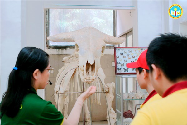 img6235_3820248.JPG